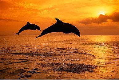 E3：Wholesome Direct作品选 让人安逸的小众游戏